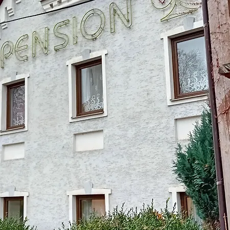 U Dubu ゲストハウス Františkovy Lázně