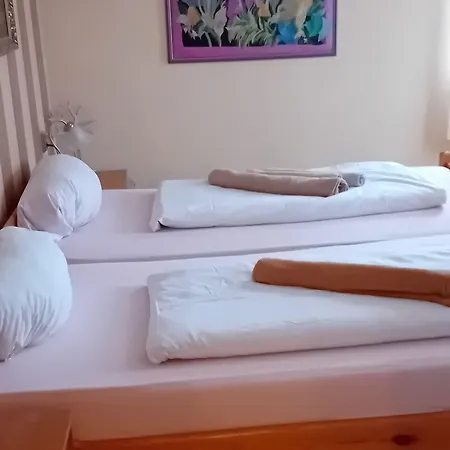 Guest house U Dubu 3*