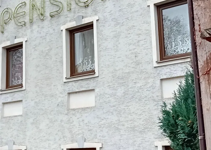 U Dubu ゲストハウス Františkovy Lázně