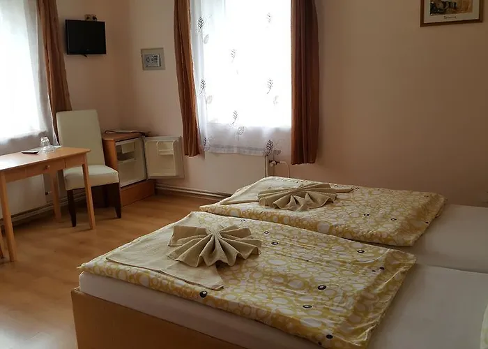 ゲストハウス U Dubu Františkovy Lázně