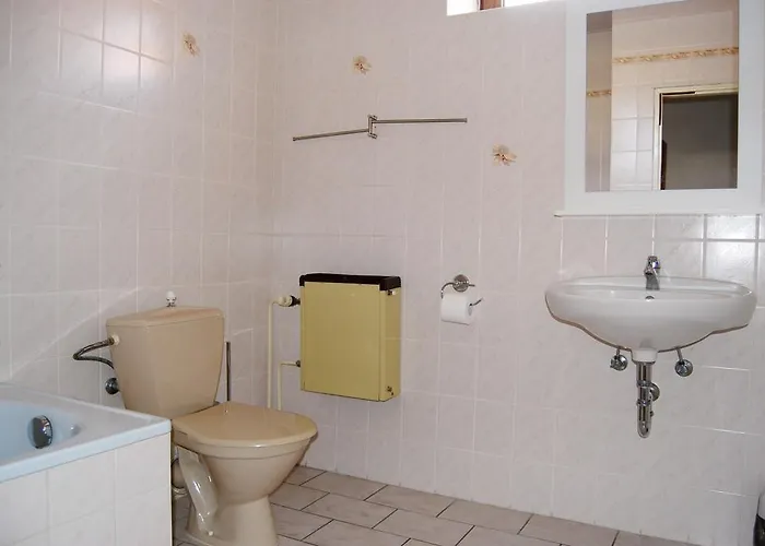 U Dubu Františkovy Lázně